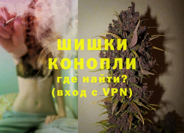 ешки Аркадак
