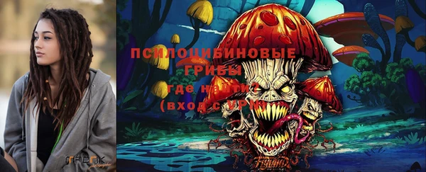 ешки Аркадак