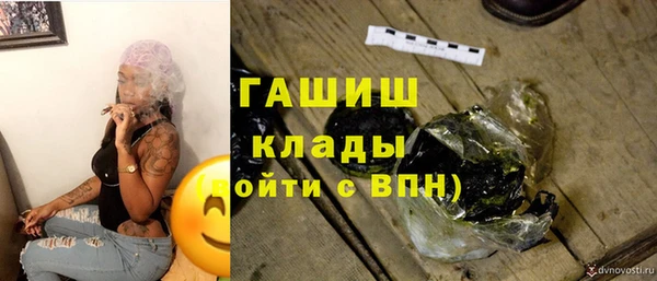 стаф Каменногорск