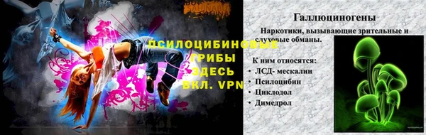 apvp Арсеньев